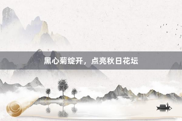 黑心菊绽开，点亮秋日花坛
